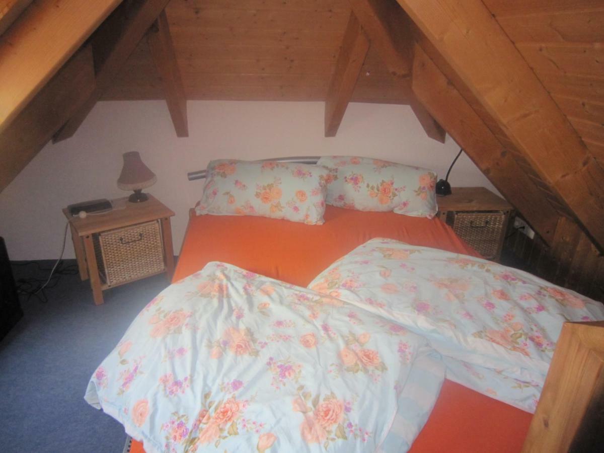 Orchidee * Weissig (Bautzen)